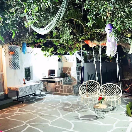 The Nest Astris