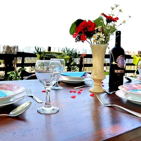 The Nest Holiday home